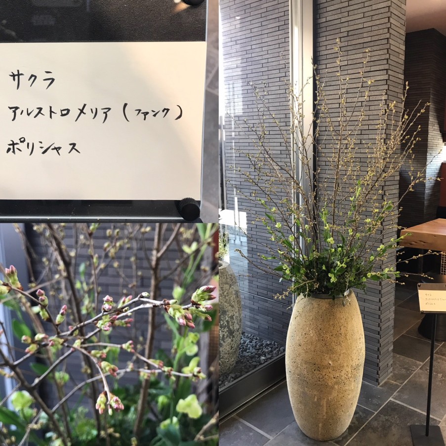 E8B9E360-34AF-4FD8-80EA-28AB9E5D0ED9