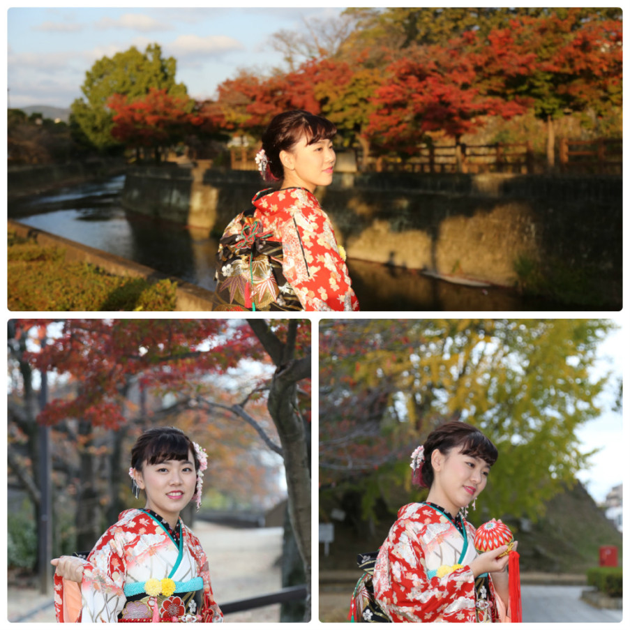 collage_photocat1
