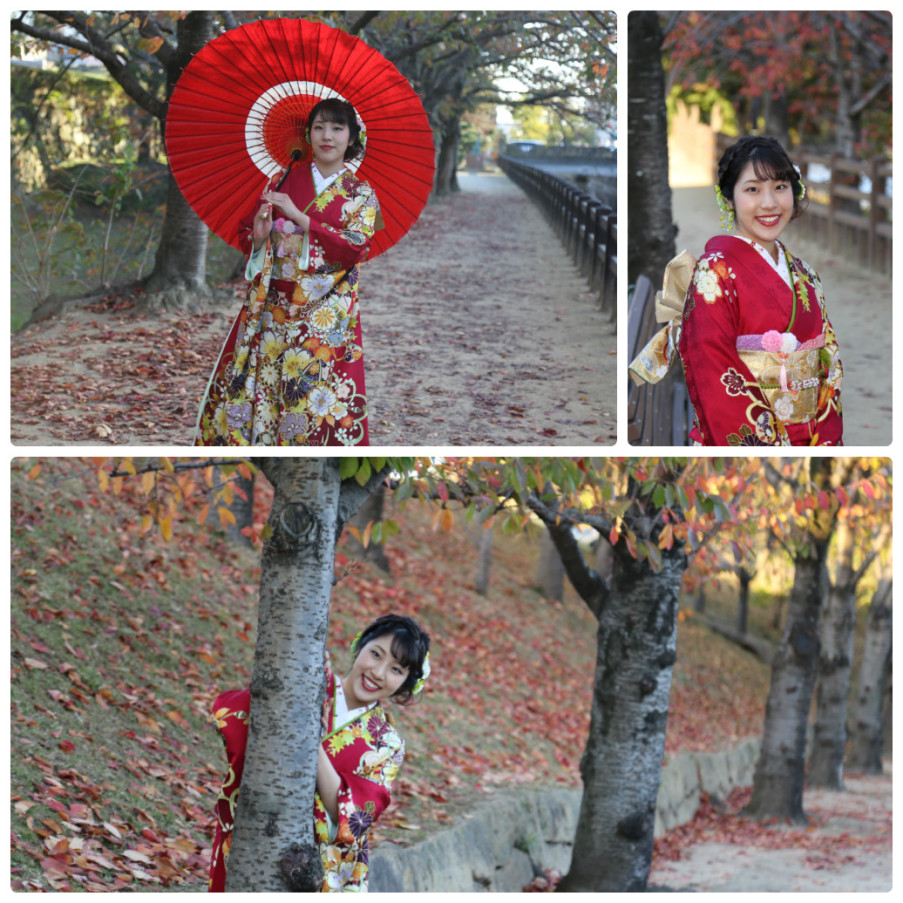 collage_photocat