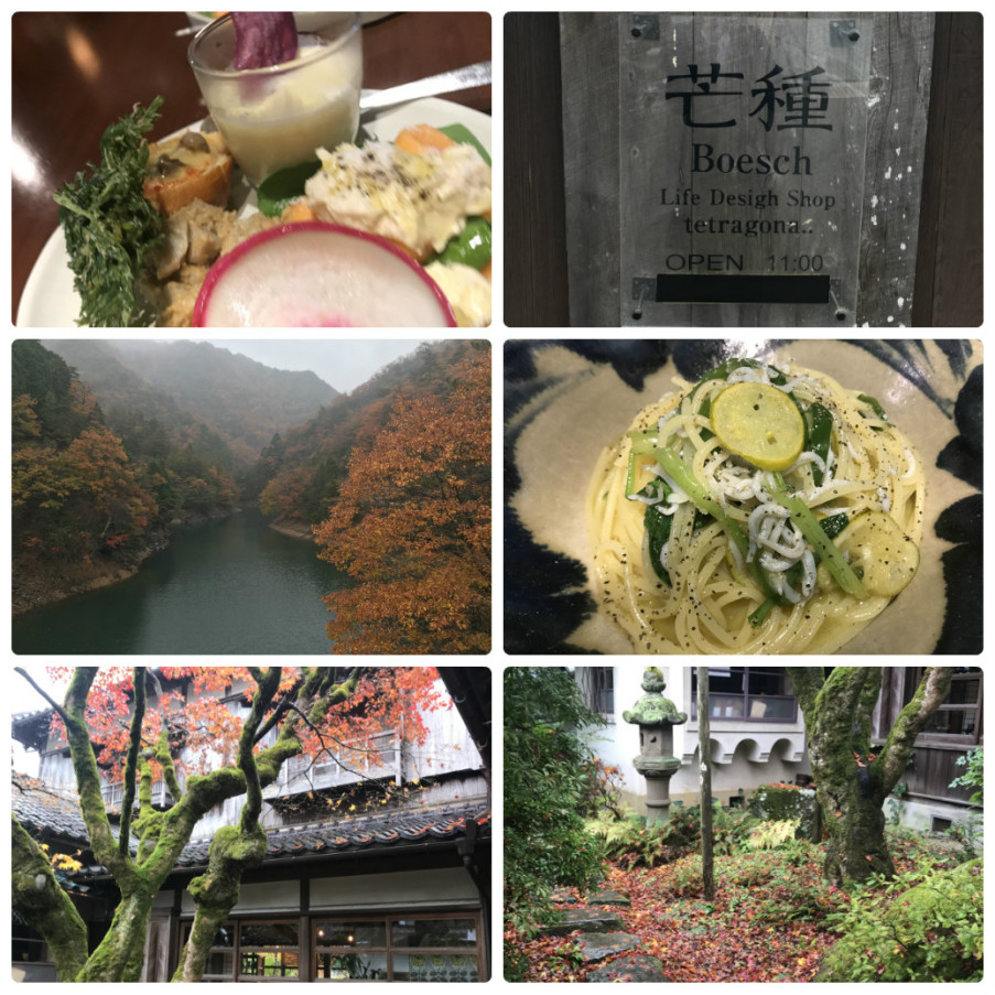 collage_photocat