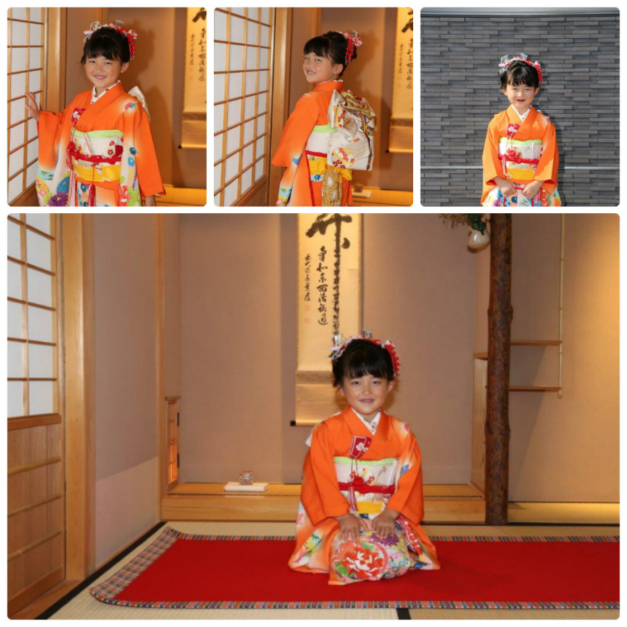 collage_photocat